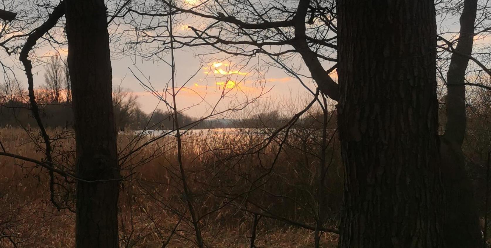 Landhaus Arcadia In Paretz Ketzin Exteriör bild